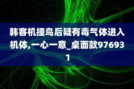 韩客机撞鸟后疑有毒气体进入机体,一心一意_桌面款976931