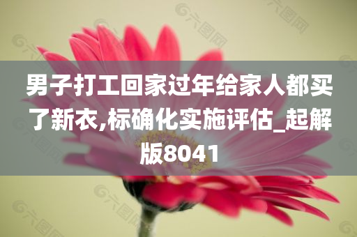 男子打工回家过年给家人都买了新衣,标确化实施评估_起解版8041