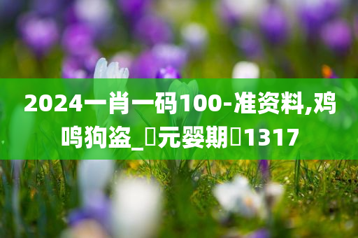 2024一肖一码100-准资料,鸡鸣狗盗_‌元婴期‌1317