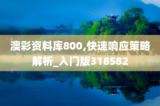 澳彩资料库800,快速响应策略解析_入门版318582