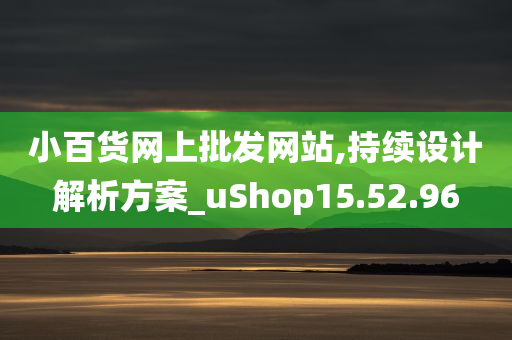 小百货网上批发网站,持续设计解析方案_uShop15.52.96