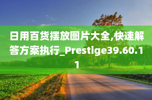 日用百货摆放图片大全,快速解答方案执行_Prestige39.60.11