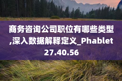 商务咨询公司职位有哪些类型,深入数据解释定义_Phablet27.40.56