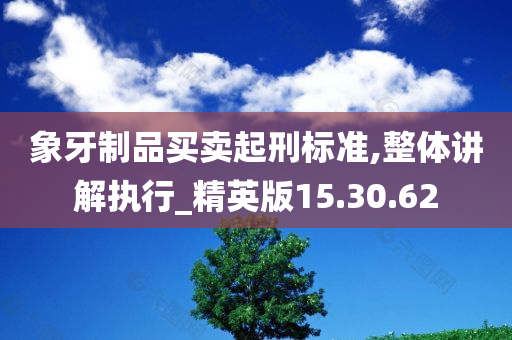 象牙制品买卖起刑标准,整体讲解执行_精英版15.30.62