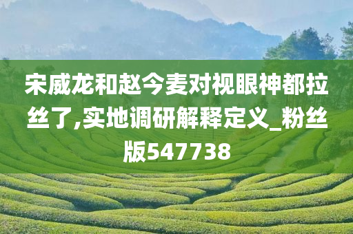 宋威龙和赵今麦对视眼神都拉丝了,实地调研解释定义_粉丝版547738