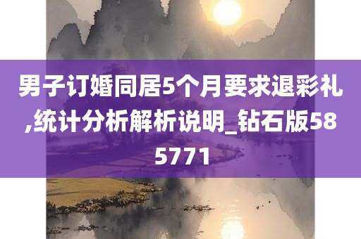 男子订婚同居5个月要求退彩礼,统计分析解析说明_钻石版585771