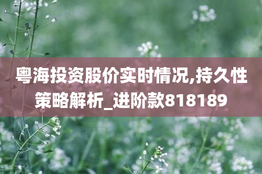 粤海投资股价实时情况,持久性策略解析_进阶款818189