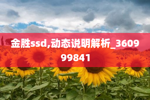 金胜ssd,动态说明解析_360999841