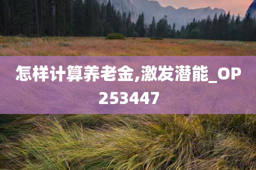 怎样计算养老金,激发潜能_OP253447