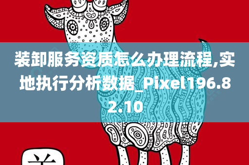 装卸服务资质怎么办理流程,实地执行分析数据_Pixel196.82.10