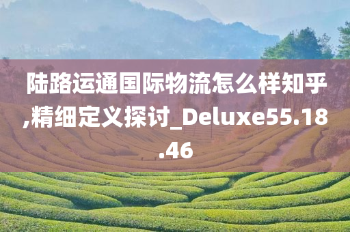 陆路运通国际物流怎么样知乎,精细定义探讨_Deluxe55.18.46