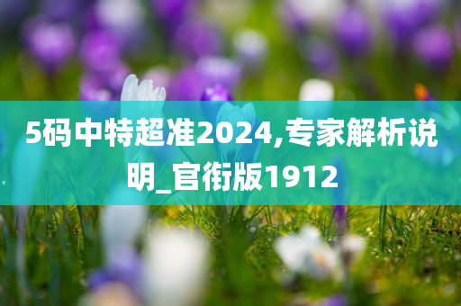 5码中特超准2024,专家解析说明_官衔版1912