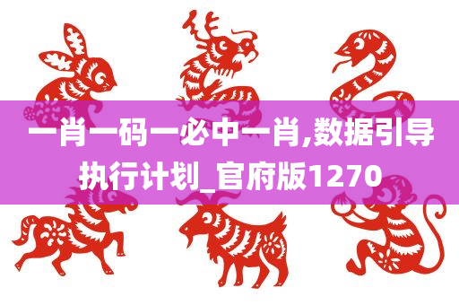 一肖一码一必中一肖,数据引导执行计划_官府版1270