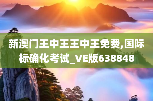 新澳门王中王王中王免费,国际标确化考试_VE版638848