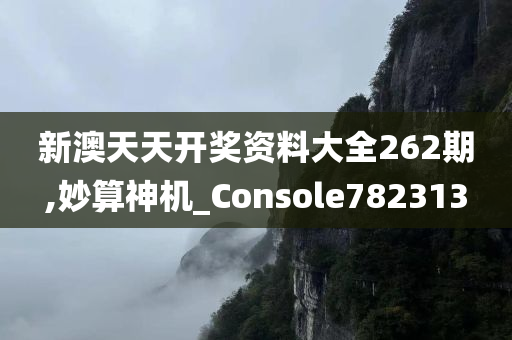 新澳天天开奖资料大全262期,妙算神机_Console782313