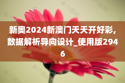 新奥2024新澳门天天开好彩,数据解析导向设计_使用版2946