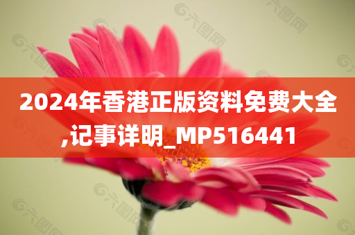 2024年香港正版资料免费大全,记事详明_MP516441