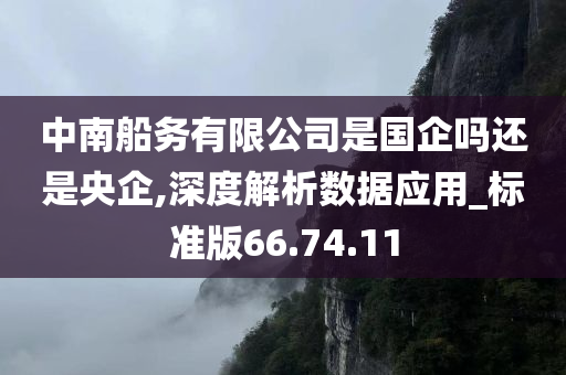 中南船务有限公司是国企吗还是央企,深度解析数据应用_标准版66.74.11