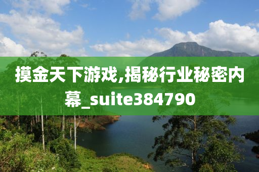 摸金天下游戏,揭秘行业秘密内幕_suite384790