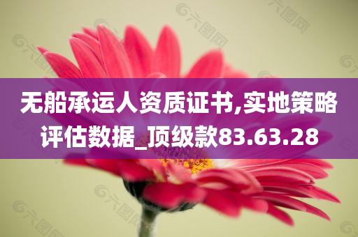 无船承运人资质证书,实地策略评估数据_顶级款83.63.28