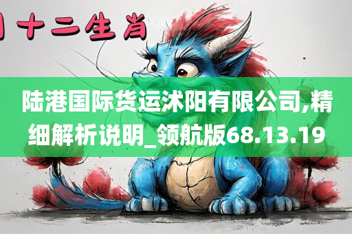 陆港国际货运沭阳有限公司,精细解析说明_领航版68.13.19