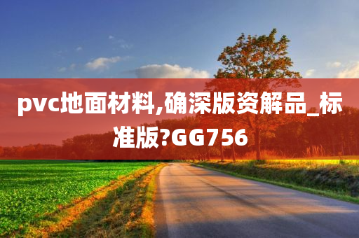 pvc地面材料,确深版资解品_标准版?GG756