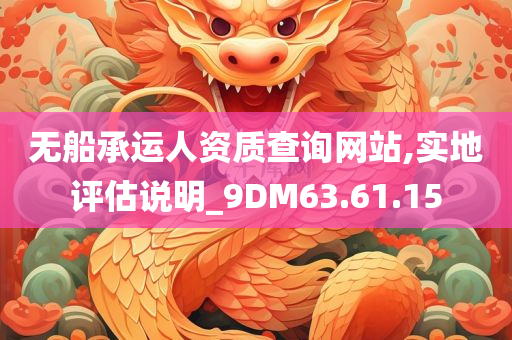 无船承运人资质查询网站,实地评估说明_9DM63.61.15