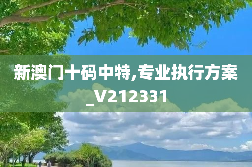 新澳门十码中特,专业执行方案_V212331