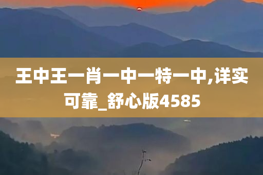 王中王一肖一中一特一中,详实可靠_舒心版4585