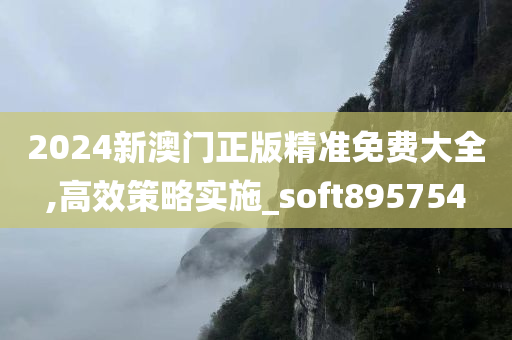 2024新澳门正版精准免费大全,高效策略实施_soft895754