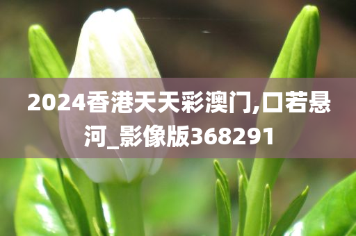 2024香港天天彩澳门,口若悬河_影像版368291