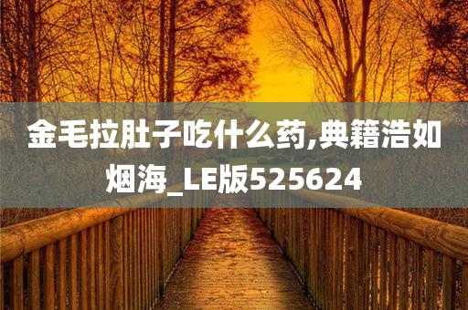 金毛拉肚子吃什么药,典籍浩如烟海_LE版525624