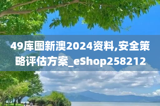 49库图新澳2024资料,安全策略评估方案_eShop258212