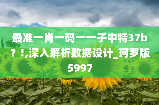 最准一肖一码一一子中特37b？!,深入解析数据设计_珂罗版5997