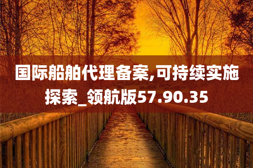 国际船舶代理备案,可持续实施探索_领航版57.90.35