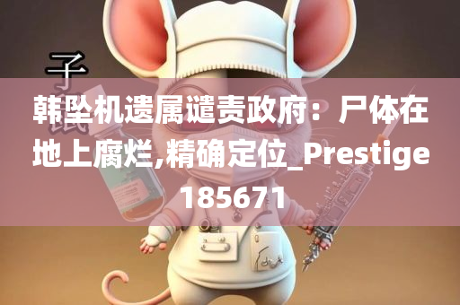 韩坠机遗属谴责政府：尸体在地上腐烂,精确定位_Prestige185671