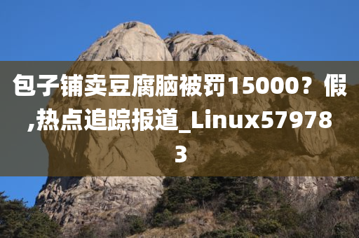 包子铺卖豆腐脑被罚15000？假,热点追踪报道_Linux579783