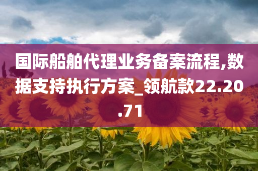 国际船舶代理业务备案流程,数据支持执行方案_领航款22.20.71