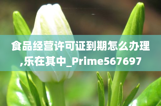 食品经营许可证到期怎么办理,乐在其中_Prime567697