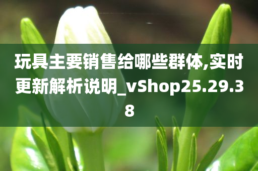 玩具主要销售给哪些群体,实时更新解析说明_vShop25.29.38