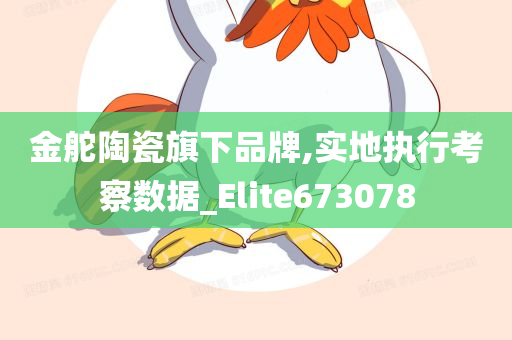 金舵陶瓷旗下品牌,实地执行考察数据_Elite673078