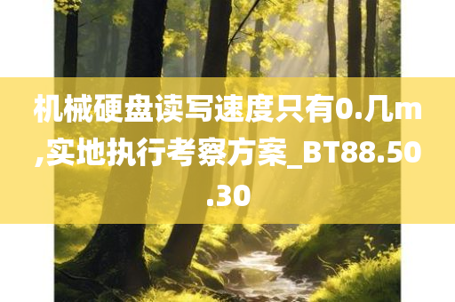 机械硬盘读写速度只有0.几m,实地执行考察方案_BT88.50.30