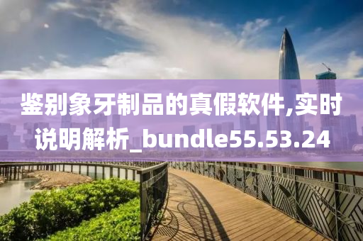 鉴别象牙制品的真假软件,实时说明解析_bundle55.53.24