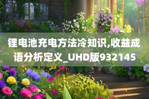 锂电池充电方法冷知识,收益成语分析定义_UHD版932145