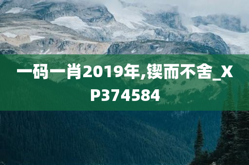 一码一肖2019年,锲而不舍_XP374584