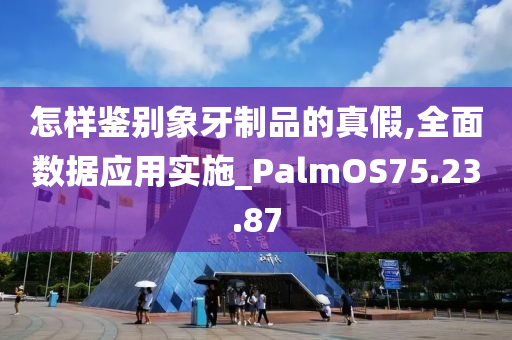 怎样鉴别象牙制品的真假,全面数据应用实施_PalmOS75.23.87