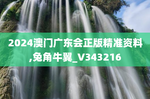 2024澳门广东会正版精准资料,兔角牛翼_V343216