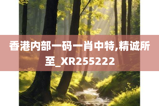 香港内部一码一肖中特,精诚所至_XR255222