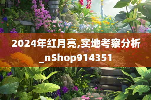 2024年红月亮,实地考察分析_nShop914351