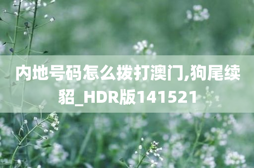 内地号码怎么拨打澳门,狗尾续貂_HDR版141521